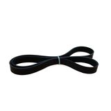 V Ribbed Belt  8PK1435 3288779 3290062 3910110 390223 for Cummins Engine Parts